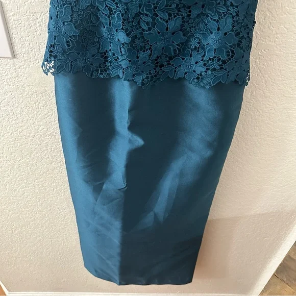 Ricki freeman for Teri Jon Lace Gazar Column Gown size 4 - Picture 3 of 6